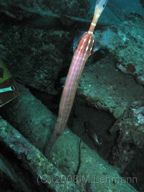 IMG_0542.JPG