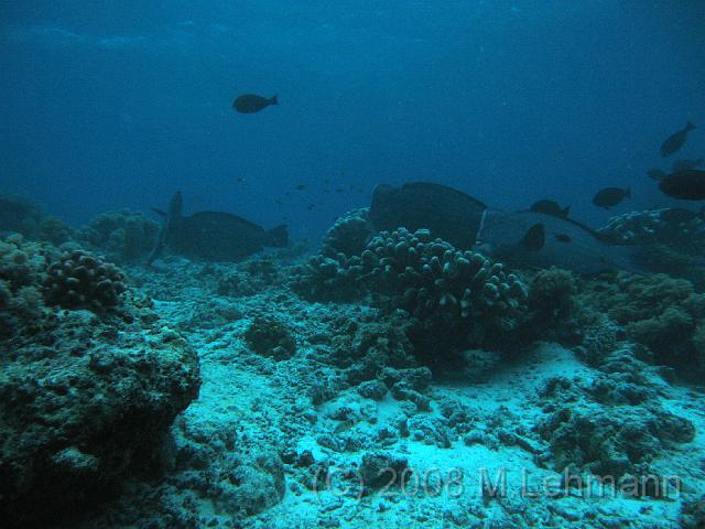 IMG_0835.JPG