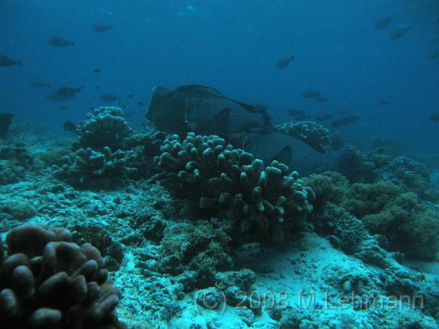IMG_0837.JPG