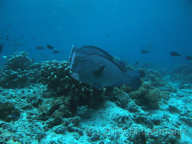 IMG_0840.JPG