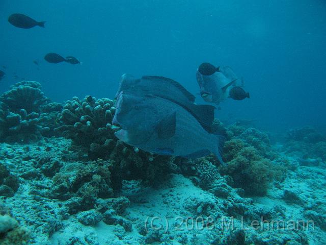 IMG_0841.JPG
