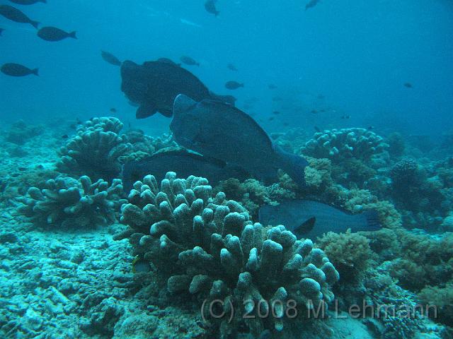 IMG_0844.JPG
