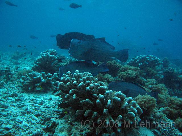 IMG_0845.JPG