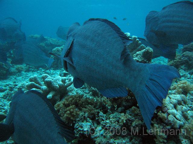 IMG_0851.JPG