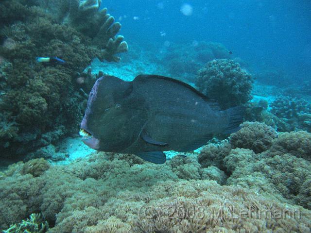 IMG_0855.JPG