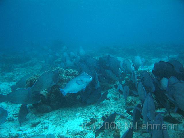 IMG_0860.JPG