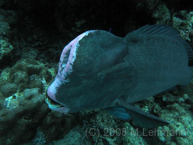 IMG_0861.JPG
