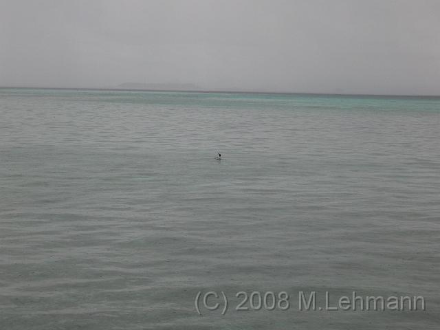 IMG_1000.JPG