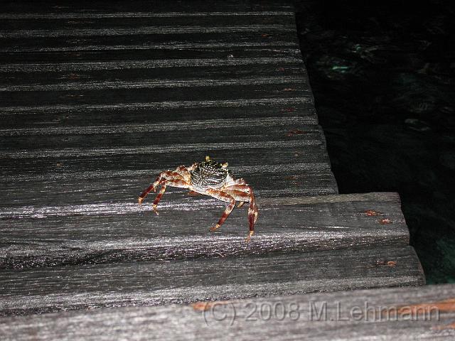 IMG_1046.JPG