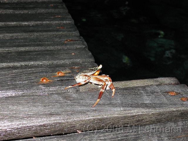 IMG_1048.JPG