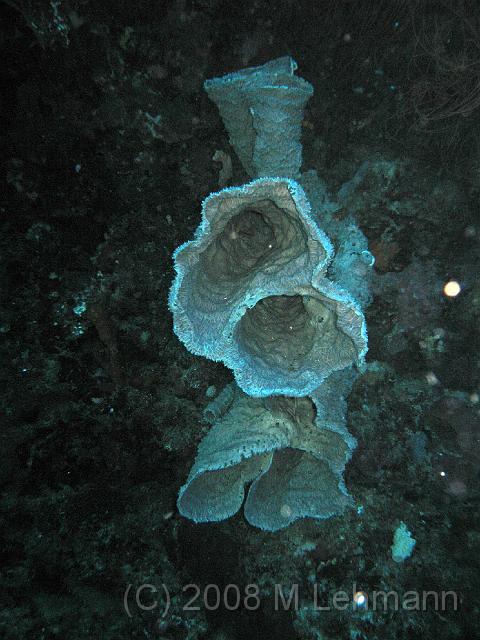 IMG_1050.JPG