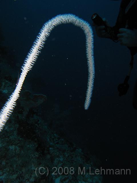 IMG_1056.JPG