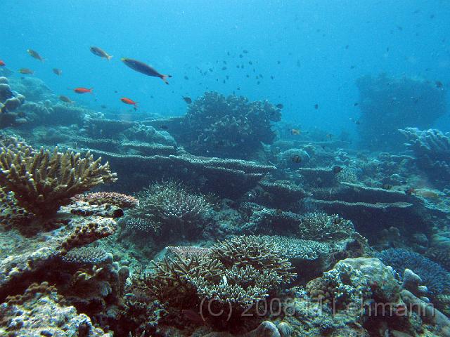 IMG_1085.JPG