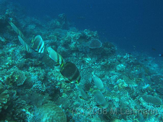 IMG_1087.JPG