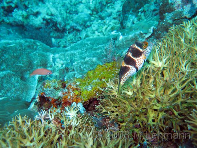 IMG_1124.JPG