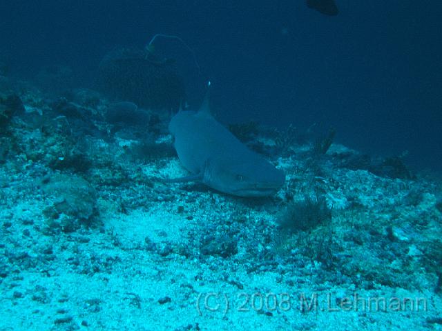 IMG_1127.JPG