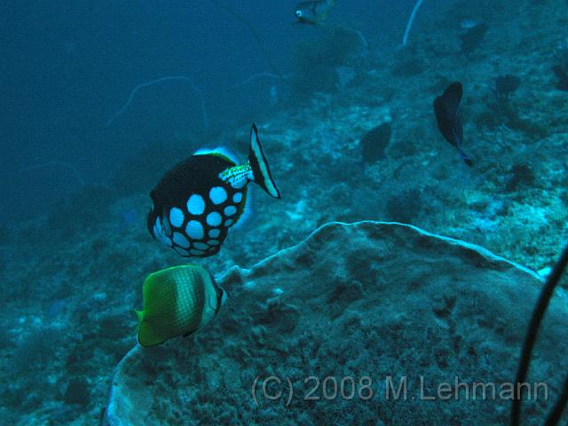 IMG_1132.JPG