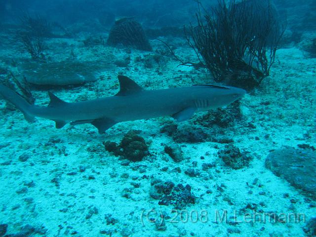 IMG_1151.JPG