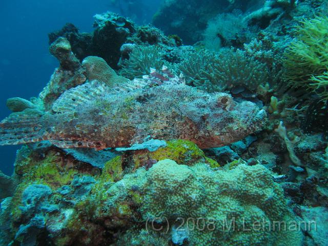 IMG_1158.JPG