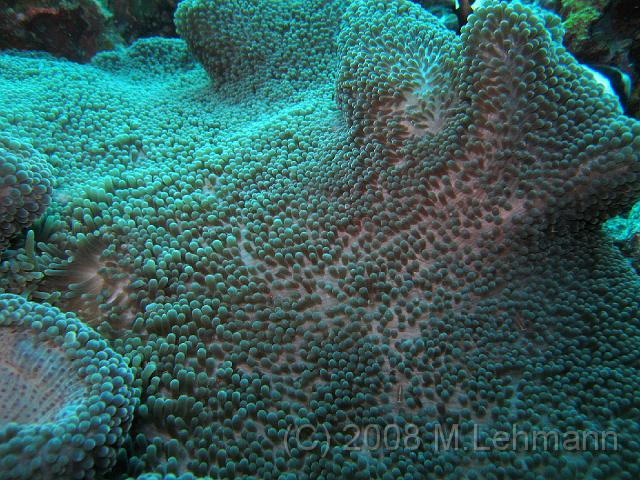 IMG_1164.JPG