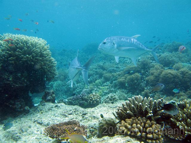 IMG_1176.JPG