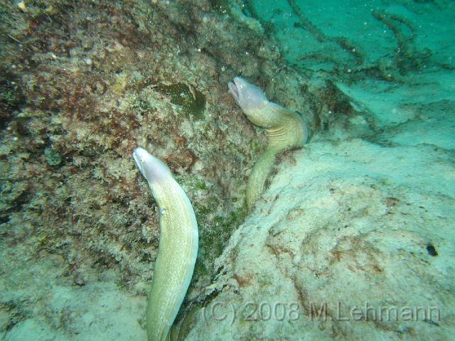 IMG_1264.JPG
