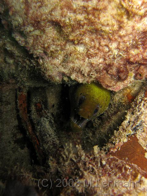 IMG_1291.JPG