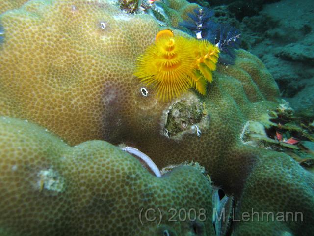IMG_1322.JPG
