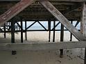 IMG_1113