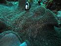 IMG_1161