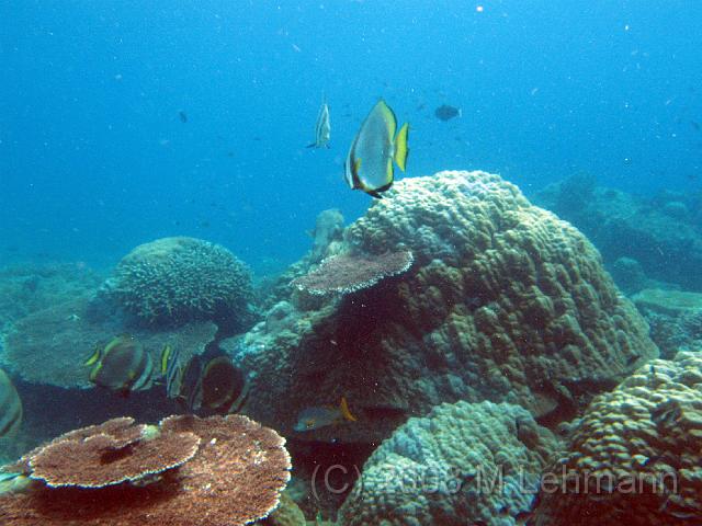 IMG_1434.JPG