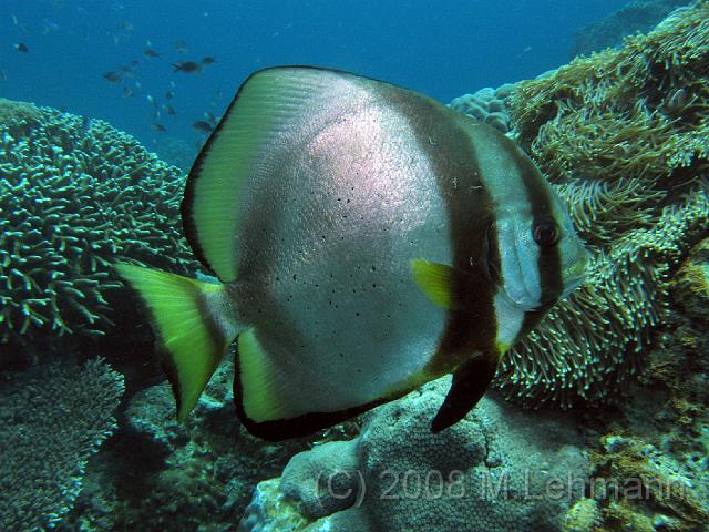 IMG_1439.JPG