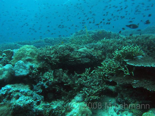 IMG_1480.JPG