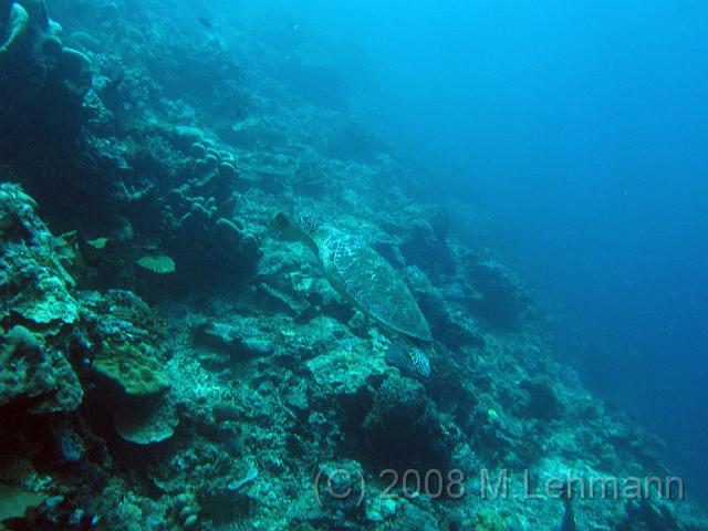 IMG_1506.JPG