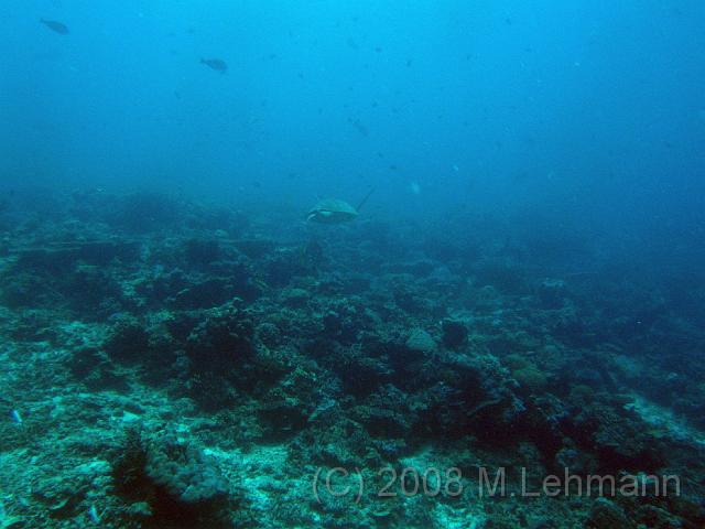 IMG_1511.JPG