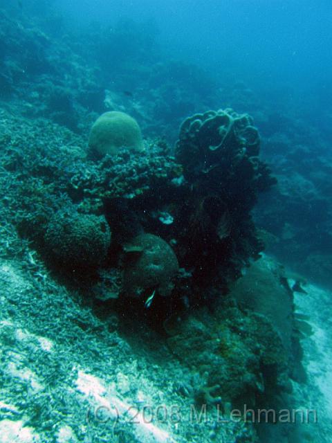 IMG_1516.JPG
