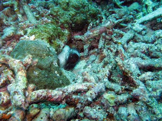 IMG_1523.JPG