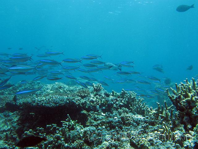 IMG_1530.JPG
