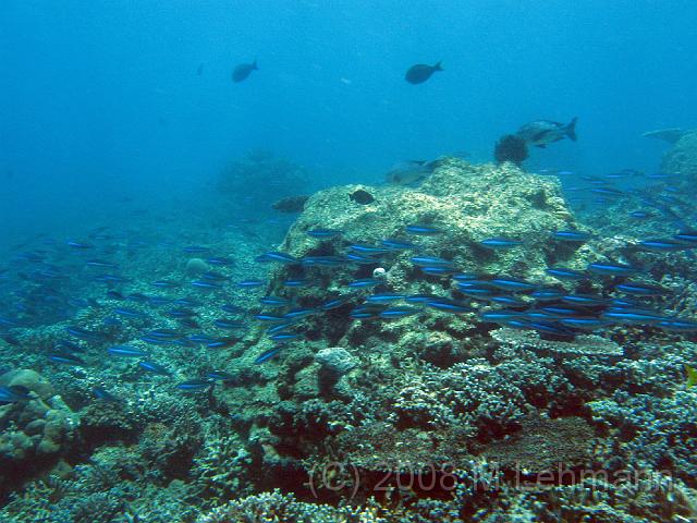 IMG_1531.JPG