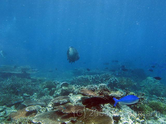 IMG_1534.JPG