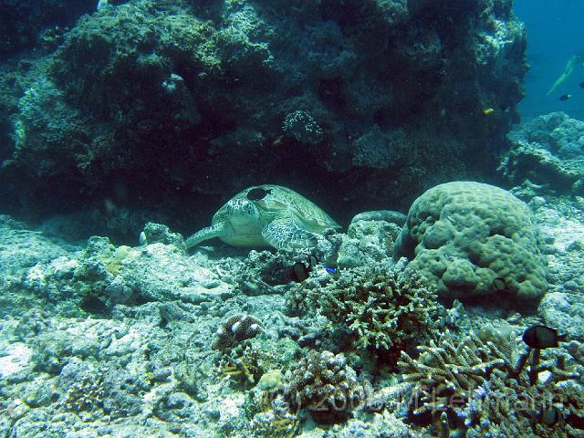 IMG_1537.JPG