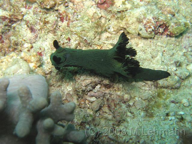 IMG_1569.JPG