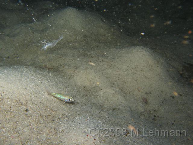 IMG_1589.JPG