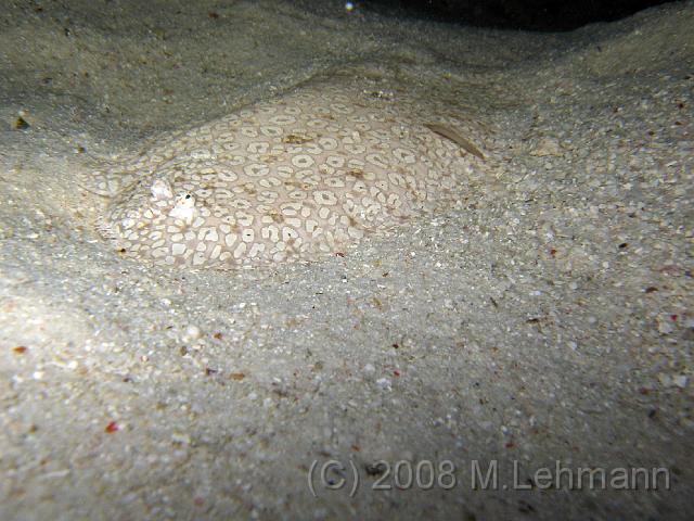 IMG_1602.JPG