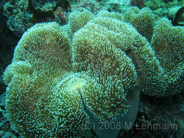 IMG_1635.JPG