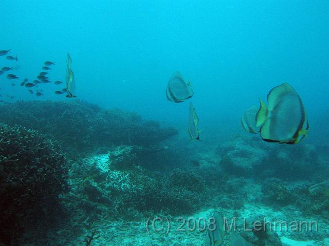 IMG_1638.JPG