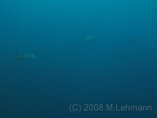 IMG_1643.JPG