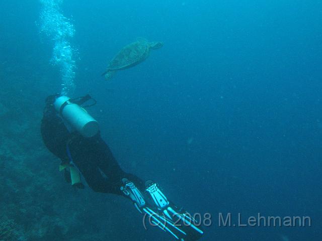 IMG_1645.JPG