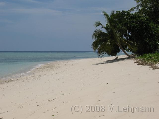 IMG_1677.JPG