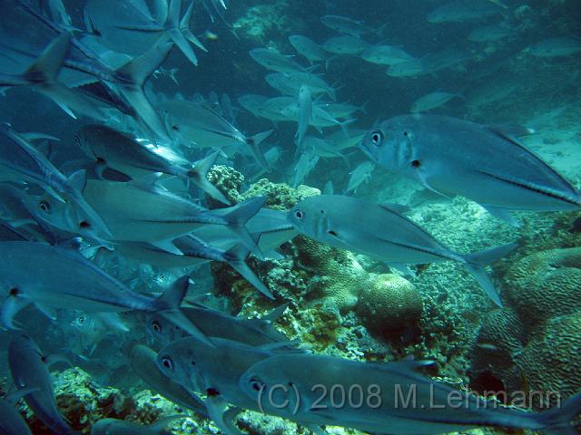 IMG_1720.JPG